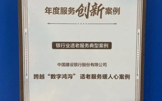 跨越数字鸿沟，世纪网络官网的革新之路与普及挑战