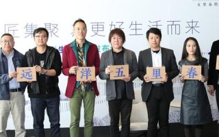 远洋数据稳定性，深入探究与应对策略
