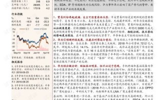 XSHL网络，探索数字化转型的机遇与挑战