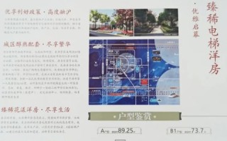 泳欣网络评测，深度解析2023年全网最受欢迎的社交媒体工具