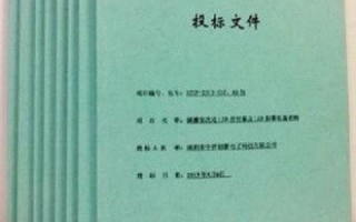 归国外公司所有的域名在国内备案的可行性探讨