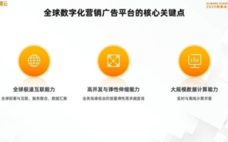 「揭秘！中网数据，互联网时代的精准营销利器」