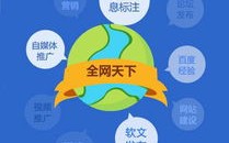 公司网络推广遇挑战，一级域名垄断下的策略调整