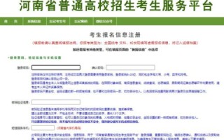 TK域名注册全攻略，从入门到精通