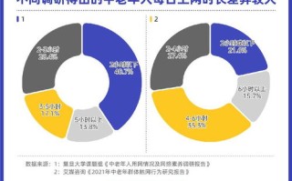 跨越数字鸿沟，好好网络官网建设与社会融合
