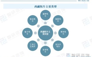 后缀为.ren的域名，未来展望与前景分析