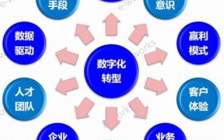 深度体验，达众网络在数字化转型中的实践与思考