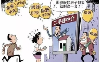 探秘中介网，一站式服务背后的真相与反思