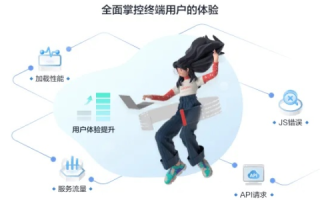 探索嘉洲网络的真实使用体验，一位用户的深度评测