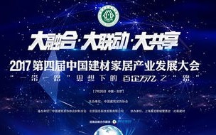 互联中华，共筑数字梦想—探索中国互联网的崛起之路