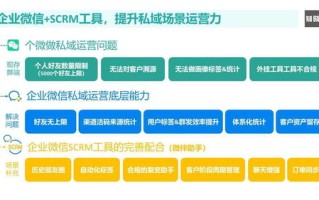 花生壳动态域名解析，高效解决方案与深度解析