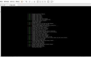 探索国内虚拟主机，为何选择Linux操作系统