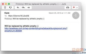 网络公司买产品送域名，真相揭秘与深度分析
