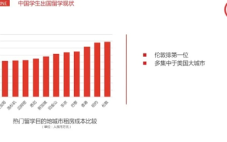 番茄互联官网全面解析，一站式互联网服务的新时代