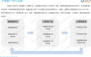 欣嘉互联，深入分析其优缺点与未来发展前景