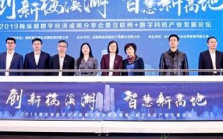 金田科技使用体验，实战中的性能与效果评估