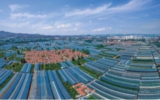 草暖互联，构建绿色生态，赋能乡村振兴新路径