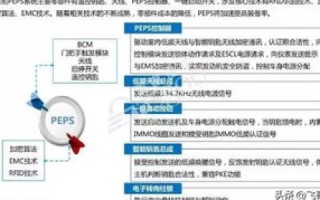 乐猫网络，稳定性解析与深度体验报告