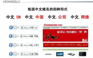 能使用纯中文的域名吗？有什么要求？