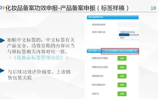 域名备案产品类型怎么填？详解与实例分析
