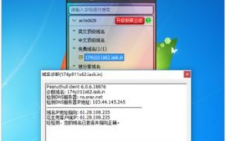 花生壳动态域名申请后设置访问指南，从申请到成功访问的详细步骤