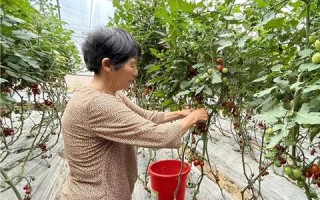渝州互联，踏上智能互联的新旅程，助你开启未来生活的新篇章