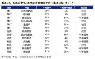 TK域名市场潜力与出售策略，探索优质域名的价值