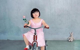 魅力数据，探索数字背后的无尽魅力与智慧潜能