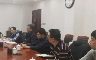天津数据网发展优劣分析与展望，在大数据浪潮下的机遇与挑战