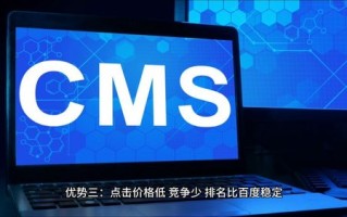 域名、WWW、COM与建站梦想，打造理想网站的命名艺术