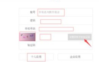壳域名也申请了，为什么在内网和外网访问存在差异？