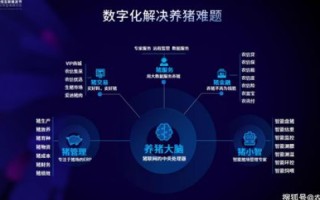 创聚互联评测，重塑数字时代下的创新与合作生态