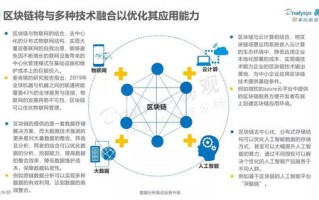 深度剖析，美信网络的优势、挑战与未来展望
