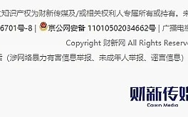 政府域名注册，特殊要求与合规性探讨