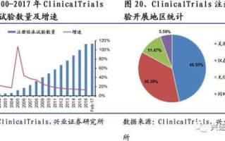 深度解析，chinacccc域名的价值评估与市场潜力