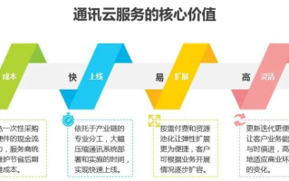 深度评测，莱优云，云服务商中的新星究竟有何独到之处？