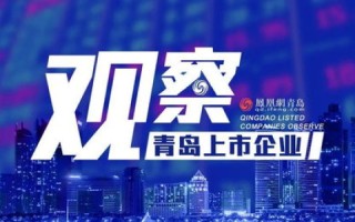 百新网络，引领数字时代的创新浪潮与未来愿景