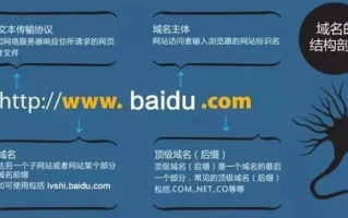 COCC免费域名使用指南，解锁域名管理的奥秘