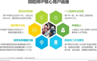 新网无限体验报告，从用户视角探讨其使用价值与局限性