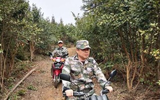 站长主机，技术人员的理想选择还是新手用户的必修课？