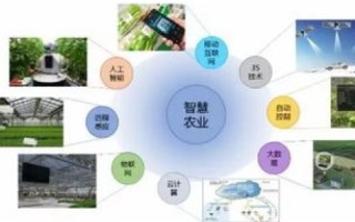 稳网互联，构建网络新生态，助力数字化发展