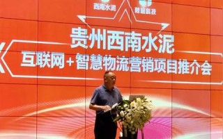 贵州数据官网，数据浪潮下的地方政府数字化转型探索