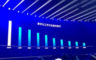 郑州网动力，在数字化浪潮中稳步前行的城市网络力量