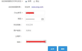 动态域名解析工具，寻找稳定之选