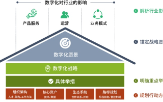 鸿阳网络，塑造数字化转型的新标杆
