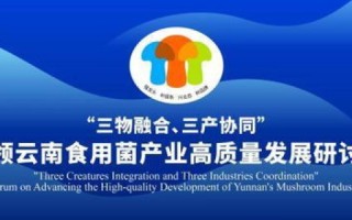 锦联天下评测，探索全球优选品质生活，引领未来居住潮流