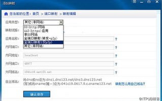哪个网站申请的TK域名比较稳定？深度解析与推荐