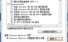 VPSZZ官网深度解读，打造高效Web存在，解锁多元业务场景