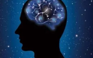 糊涂互联，连接我们的是智慧还是困惑？