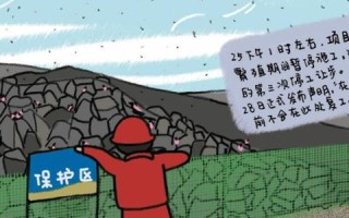 小鸟云香港服务器稳定吗？揭秘机房所在地及性能优势